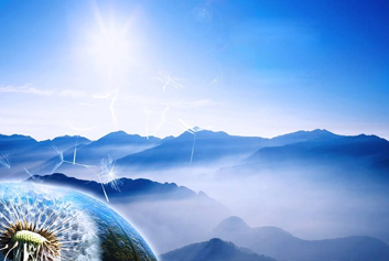 公司追求 公司追求